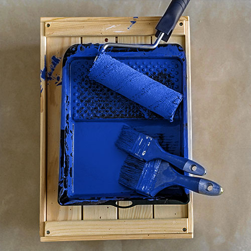 PremiumPro branded blue paintbrushes and paint roller